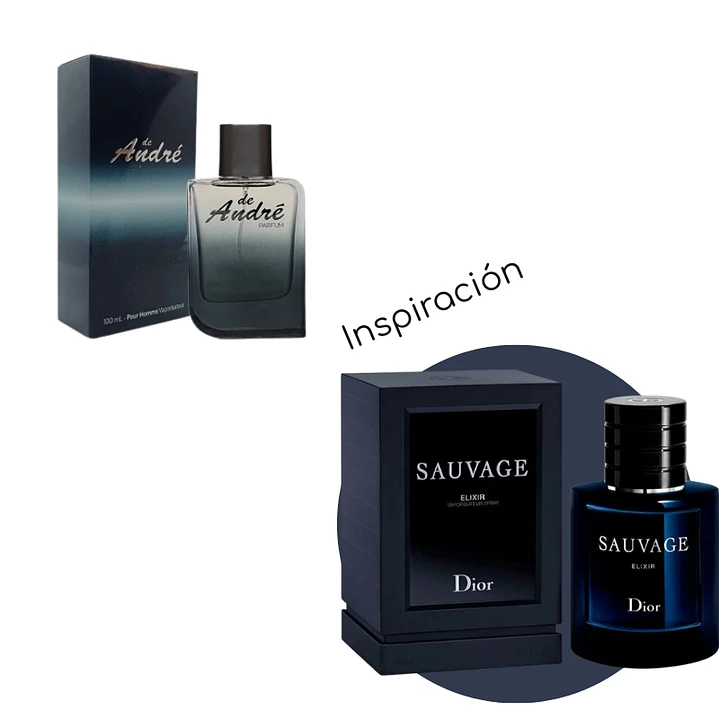 H15 - Parfums d Parfums - Imagen 3