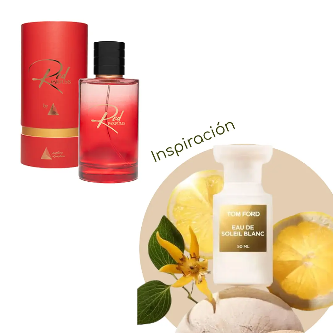 Q04 - Parfums d Parfums Nicho - Imagen 3